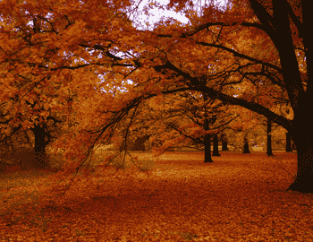 Exploring Holidays India